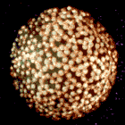 corbomite_avatar-2.gif