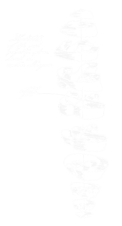 real_proj_plane-2.png