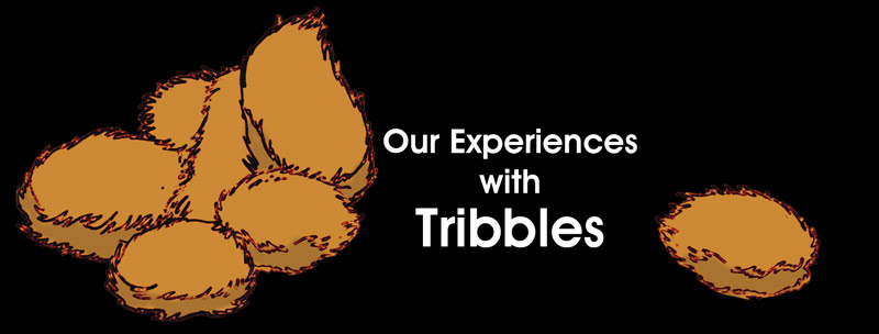 Our Experiences with Tribbles